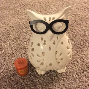 New Pier 1 Ceramic Owl